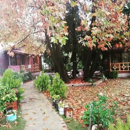 Maji Village Kemping