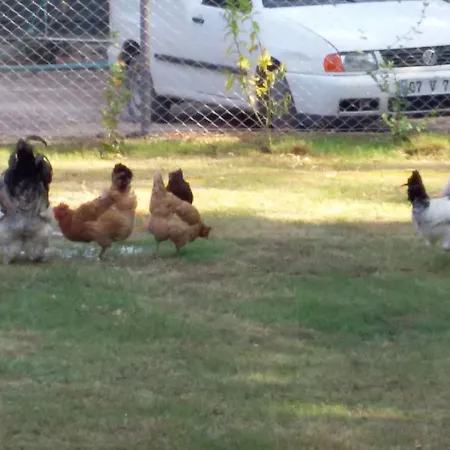 Maji Village Kemping Çıralı