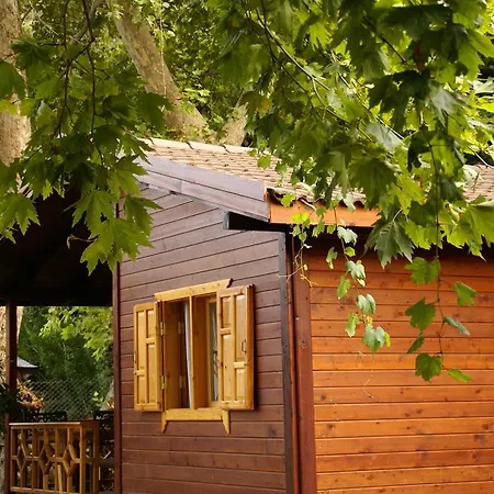 Maji Village Çıralı