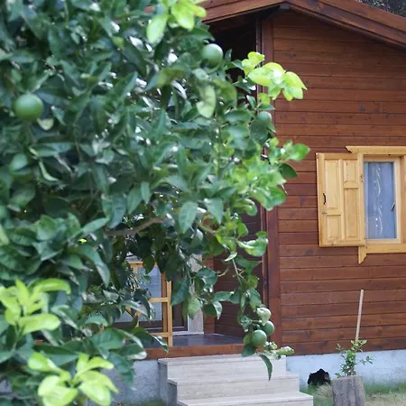Maji Village 3* Çıralı