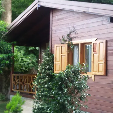キャンプ場 Maji Village Çıralı